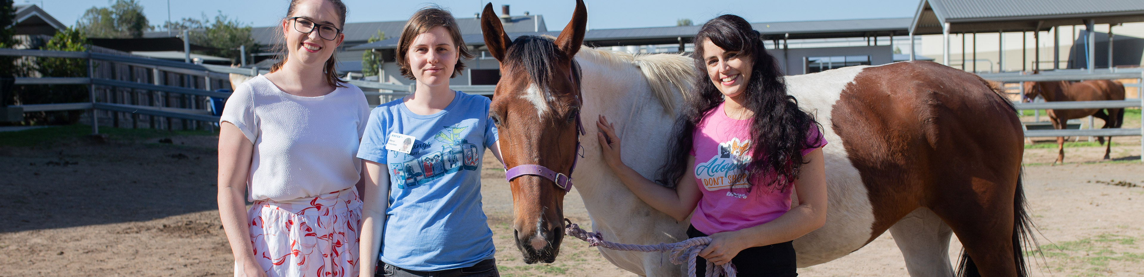 horse standing with three women